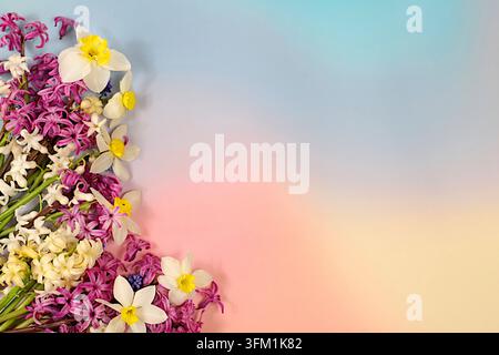 Composizione floreale astratta per modello di schermo e design. Bellissimo volantino con giacinti bianchi, narcisi e muscari blu su uno sfondo elegante e chiaro Foto Stock