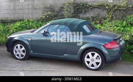 Auto sportiva decappottabile Audi TT parcheggiata all'aperto accanto a fogliame verde Foto Stock
