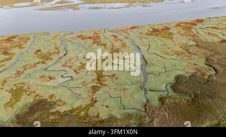 Veduta aerea della riserva naturale di Saeftinghe, una palude intertidale nell'estuario della Schelda, che rivela intricati canali d'acqua Foto Stock