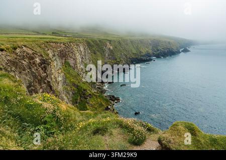 Scogliere costiere drammatiche con l'oceano nella nebbia brumosa Foto Stock