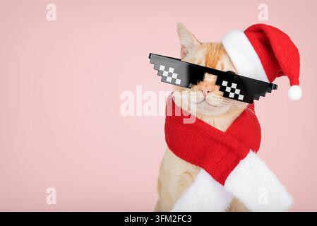 Un gatto domestico fulvo con un cappello di Natale rosso, una sciarpa e occhiali da sole pixelati. Scatto minimalista in studio su sfondo rosa, umoristico e festoso Foto Stock