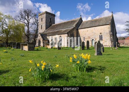 Narciso nella Chiesa di All Saints ad Hovingham, North Yorkshire, Inghilterra Foto Stock