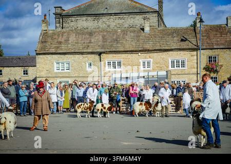 Fiera del Pecorino di Masham nel North Yorkshire Foto Stock