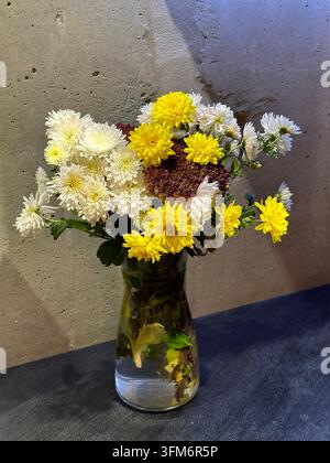 Chrysantemi gialli e bianchi sono disposti in un vaso di vetro contro un muro di cemento ruvido. Foto Stock