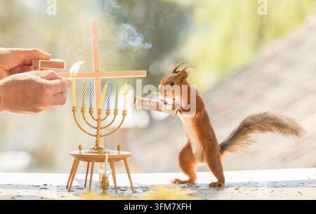 scoiattolo rosso e le mani stanno tenendo un matchbox con candele Foto Stock