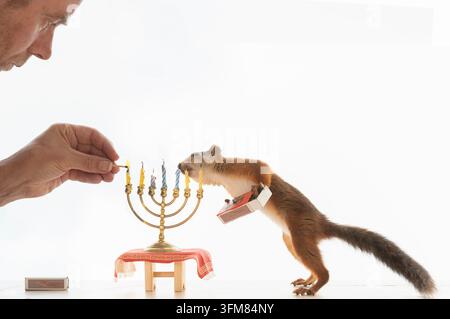 lo scoiattolo rosso sta tenendo una scatola di corrispondenza e l'uomo è un fulmine una candela Foto Stock