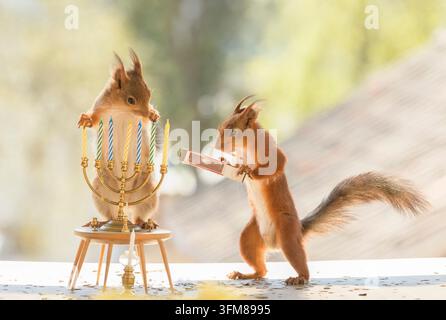 gli scoiattoli rossi tengono candele e fiammiferi Foto Stock