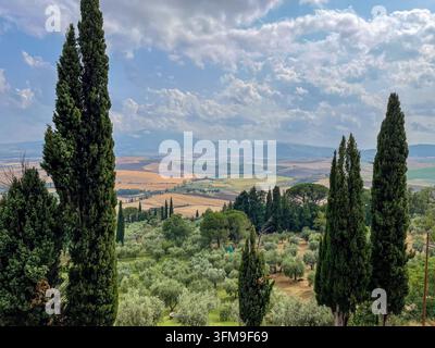 Vista panoramica della campagna toscana con iconici cipressi alti, uliveti e colline ondulate sotto un cielo nuvoloso nella Val d'Orcia, Toscana, Italia Foto Stock