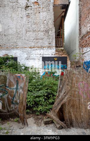 Spazio vacante invaso dalla vegetazione con muri coperti di graffiti tra edifici storici a Kazimierz. Foto Stock