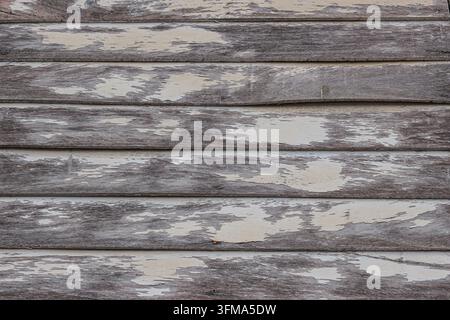 Panneggiate orizzontali di legno stagionato con vernice bianca scrostata che mostra la venatura grigia del legno su una facciata esterna di un cottage. Foto Stock