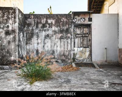Muro eroso con una vecchia porta di legno e piante ricresciute in un ambiente abbandonato Foto Stock
