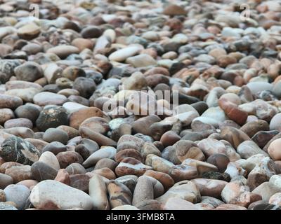 Varietà di pietre lisce e ciottoli sparsi su una spiaggia, che mostrano toni terrosi e texture Foto Stock