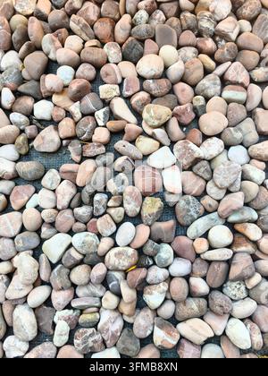 Prima vista di una varietà di piccoli ciottoli e pietre con colori e texture diversi sparsi sul terreno Foto Stock