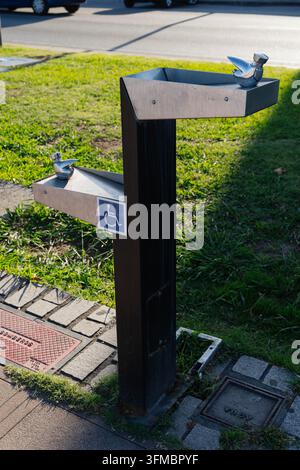 Fontana per bere con due bacini in acciaio inossidabile si trova sull'erba accanto a una strada, la vasca inferiore è contrassegnata da un simbolo di sedia a rotelle. Città accessibile Foto Stock