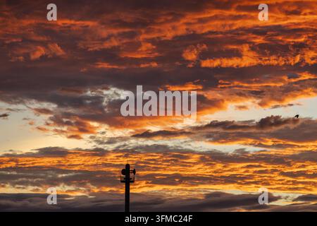Cielo drammatico della sera pieno di nuvole infuocate arancioni e viola che coprono l'orizzonte sopra una torre di comunicazione in silhouette e un corvo solitario. Foto Stock