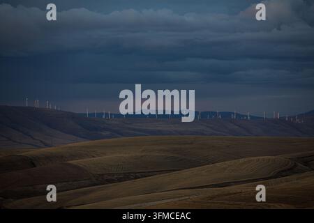 Turbi eolici su colline ondulate sotto un cielo tempestoso Foto Stock