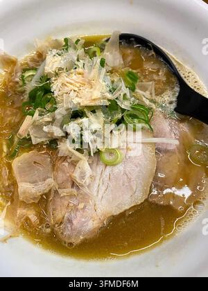 Una ciotola di ramen con pollo, maiale e brodo di frutti di mare, guarnito con fette di maiale, cipolle verdi e scaglie di bonito al Kanade di Osaka, Giappone. Foto Stock