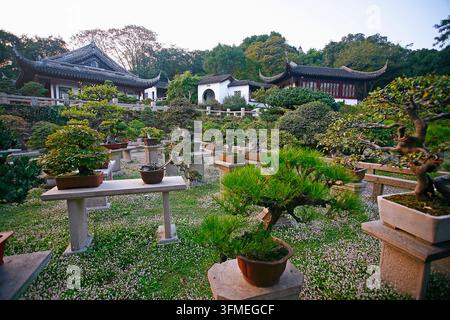 Cina, Suzhou, Il giardino della Collina del Tigre, La regione panoramica della Collina del Tigre, Collina del Tigre, Huqin, Giardino dei bonsai Foto Stock