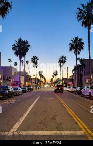 Venice Beach, California, USA – 18 aprile 2024: Scena di strada colorata sull’Abbot Kinney Boulevard a Venice Beach, Los Angeles, con alte palme, ag Foto Stock