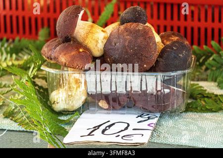 Funghi porcini freschi in vendita in un mercato locale Foto Stock