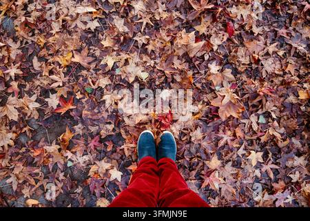 Scarpe circondate da foglie autunnali colorate che coprono il terreno, Portogallo Foto Stock
