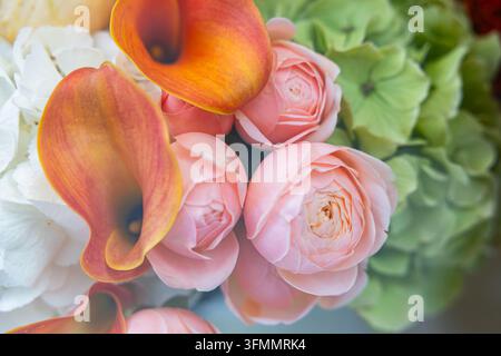 Calla arancioni con rose rosa e ortensie verdi in un delicato bouquet floreale da matrimonio scatto macro Foto Stock