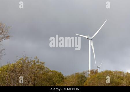 Le turbine eoliche si ergono alte nella foresta di Clocaenog, producendo energia pulita per la nazione Foto Stock