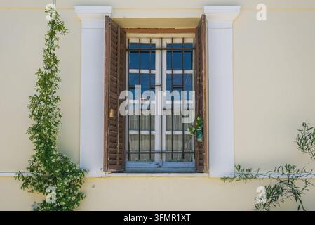 Finestra con persiane blu e cancello di sicurezza metallico con piante rampicanti Foto Stock