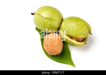 Noci greche con foglie su sfondo bianco. Tre noci in primo piano. Foto Stock