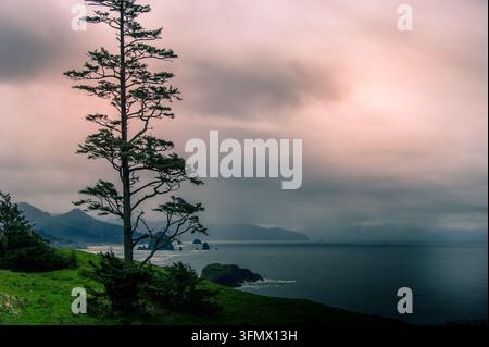 Vista di Haystack Rock e di un albero sempreverde solitario su una scogliera erbosa che si affaccia sull'Oceano Pacifico sotto un cielo nuvoloso drammatico a Cannon Beach, Oregon, U Foto Stock