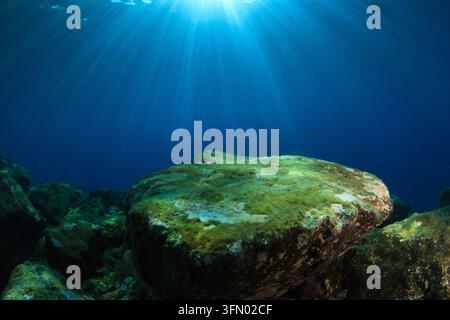 Habitat bentico roccioso sommerso illuminato dai raggi del sole nel mare poco profondo Foto Stock
