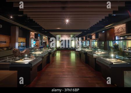 Interno della galleria espositiva storica moderna del Muzium Negara (Museo Nazionale della Malesia), con artefatti in vetrine Foto Stock