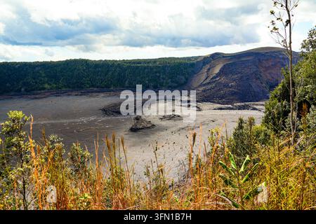 Vista dal bordo del cratere Kilauea Iki che mostra la vasta caldera vulcanica, il pavimento di lava nera solidificata, il cono vulcanico rosso e le pareti lussureggianti del cratere Foto Stock