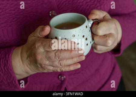 Primo piano delle mani di una donna anziana che tiene una tazza di tè calda. Stile di vita accogliente in inverno o autunno, concetto di comfort e assistenza agli anziani Foto Stock