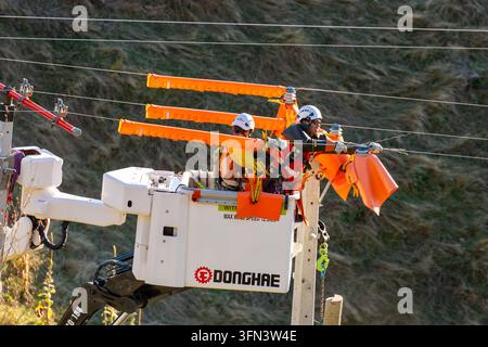 Operai di servizio, o lineman, in un camion a cesto isolato che eseguono manutenzione su linee ad alta tensione. Foto Stock