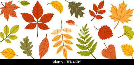 Magnifico set grande di foglie autunnali disegnate a mano isolate in vettore. Grande pacchetto di fogliame colorato in stile piatto per biglietti di auguri del Ringraziamento, pacchetti di adesivi festivi, creatore di motivi e branding organico. Illustrazione Vettoriale