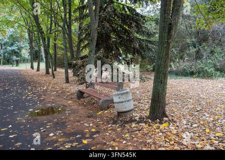 Una panchina di legno consumata e un cestino della spazzatura in cemento situato accanto a un sentiero asfaltato coperto da foglie d'autunno cadute e una pozza di pioggia Foto Stock