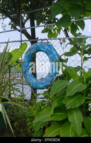 Una boa di salvataggio blu è appesa tra il fogliame verde su una recinzione a Batumi alla luce del giorno, rappresentando la sicurezza acquatica, l'attrezzatura di soccorso e il tempo libero costiero. Foto Stock
