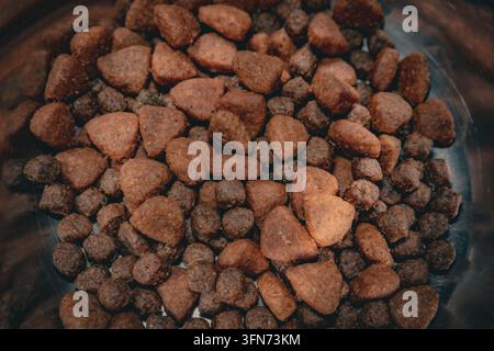 Prima vista dall'alto di vari pezzi di crocchette secche marroni per animali domestici che riempiono un contenitore Foto Stock