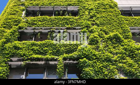 Esterno di edificio ricoperto di piante verdi in un contesto urbano con tempo soleggiato Foto Stock