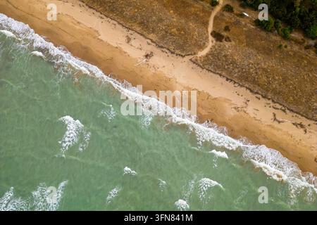 Una vista aerea dall'alto evidenzia dolci onde bianche che si infrangono lungo una spiaggia di sabbia selvaggia e dorata nel Molise, Italia. Il contrasto tra il verdastro Foto Stock