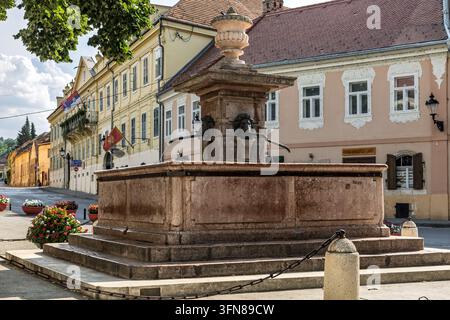 Fontana ai quattro leoni, Fontana Cetiri Lava, Sremski Karlovci, Vojvodina, Serbia Foto Stock