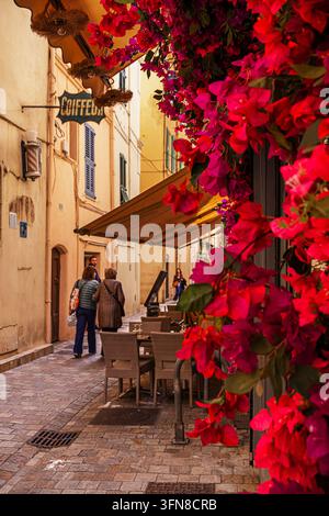 Vibranti fiori di amaranto e bougainvillea che incorniciano una boutique nella vecchia città di Cannes con turisti sotto un cielo azzurro Foto Stock
