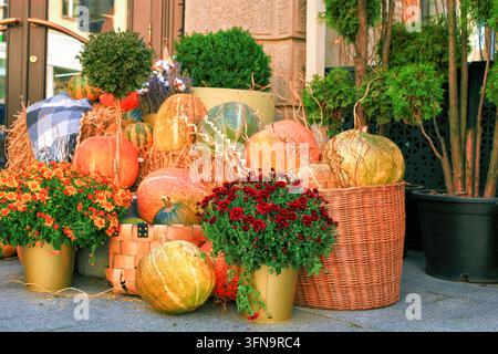 Crisantemi in vaso, zucche, bosso, thuje che crescono in vaso decorano l'ingresso della porta di casa. Zucche gialle, crisantemi coreani rossi e arancioni fioriscono Foto Stock
