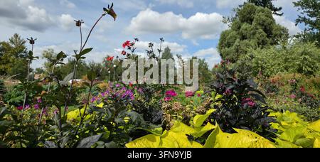 Vista del giardino Cherry Creek con fiori rossi e viola vivaci, fogliame scuro e piante giallo-verdi luminose sotto un cielo blu a Denver, Colorado, Un Foto Stock