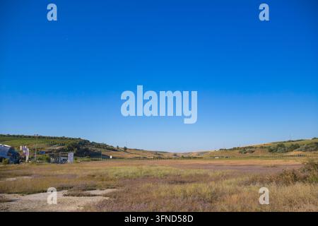 Ampio campo erboso con fiori selvatici viola sparsi e colline ondulate sotto un vasto cielo azzurro sereno. Foto Stock