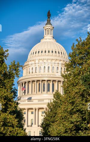 Cupola del Campidoglio degli Stati Uniti incorniciata da alberi autunnali a Washington DC | WASHINGTON — Il fogliame autunnale incornicia i piani superiori della cupola del Campidoglio degli Stati Uniti su Capitol Hill. La statua di bronzo della Libertà al suo vertice, fusa in sezioni in una fonderia fuori città, deve il suo completamento in parte a Philip Reid, un artigiano schiavizzato che ideò il metodo per separare il modello in gesso per la fusione e fu liberato prima che la statua fosse finita. Foto Stock