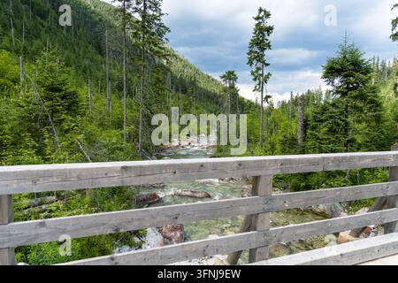 Vista orizzontale da un ponte di legno sopra un ruscello di montagna poco profondo con rocce che scorrono attraverso una valle di foresta di conifere. Foto Stock