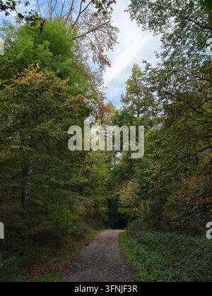 Germania Un stretto sentiero di ghiaia si snoda attraverso una fitta foresta mista con alti alberi verdi e fogliame autunnale precoce sotto una luce pallida e nuvolosa. Foto Stock
