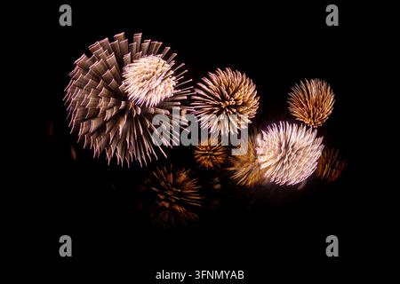 Fuochi d'artificio su sfondo nero, foto a lunga esposizione astratta Foto Stock